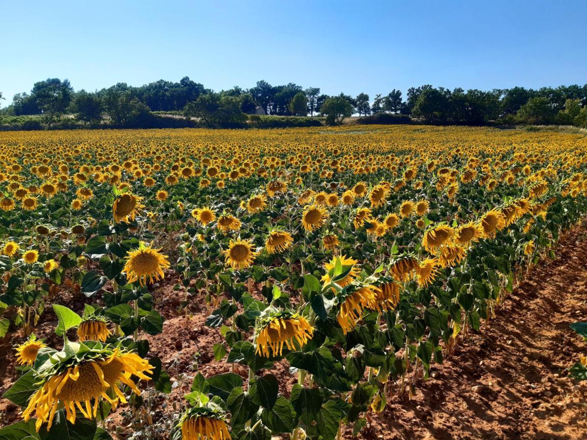 La Vita Dolce, Luberon Grambois Kültér fotó