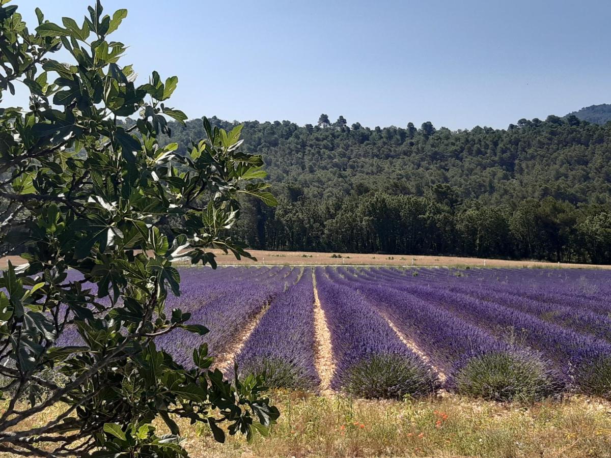 La Vita Dolce, Luberon Grambois Kültér fotó