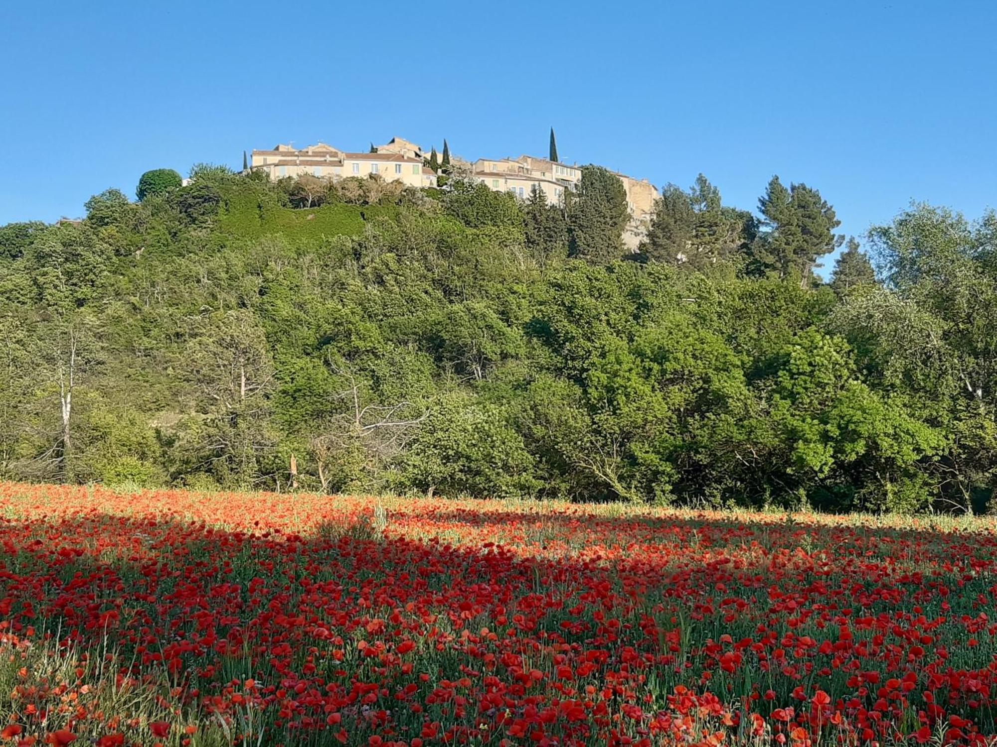 La Vita Dolce, Luberon Grambois Kültér fotó